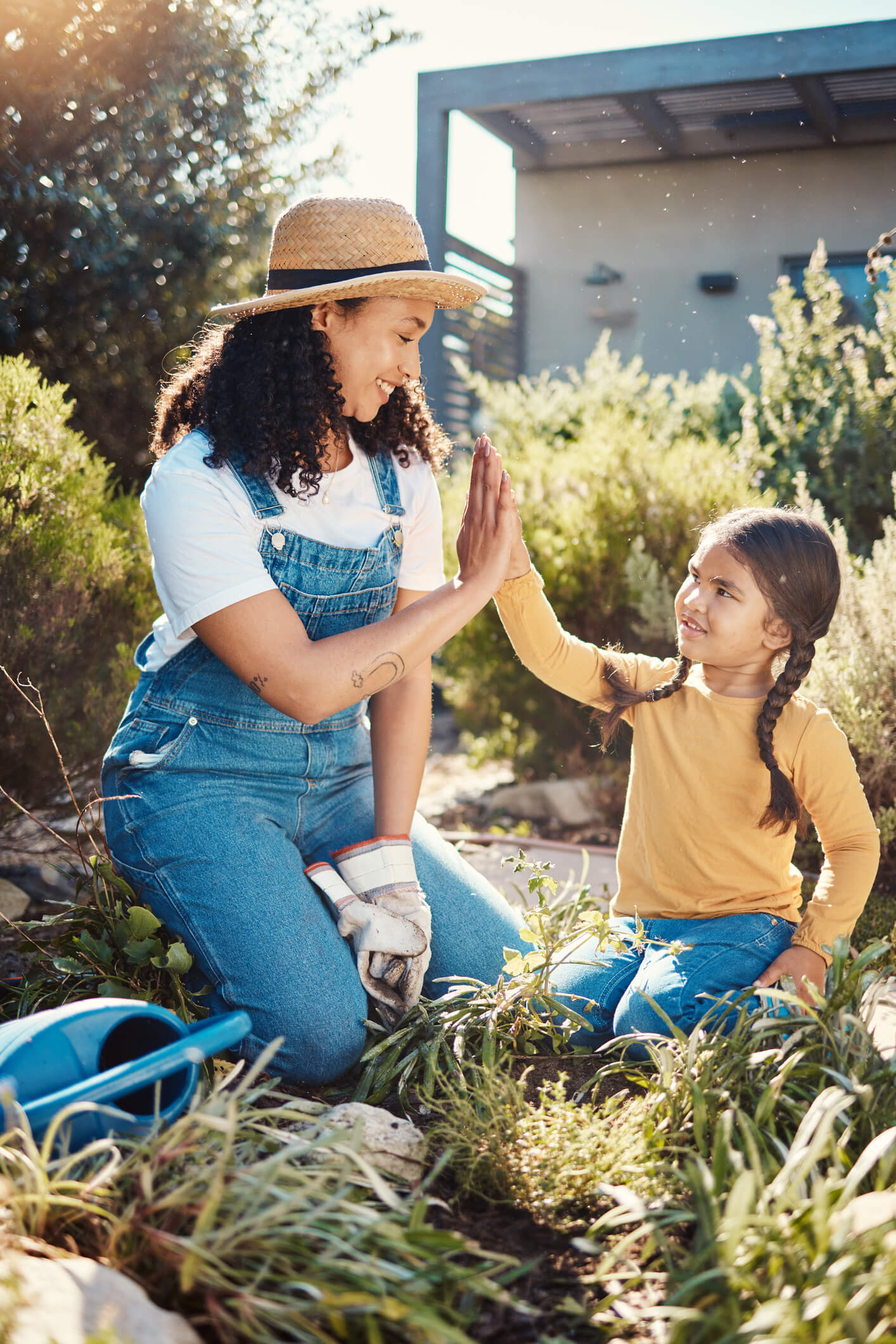 iStock-1620762034 (1)