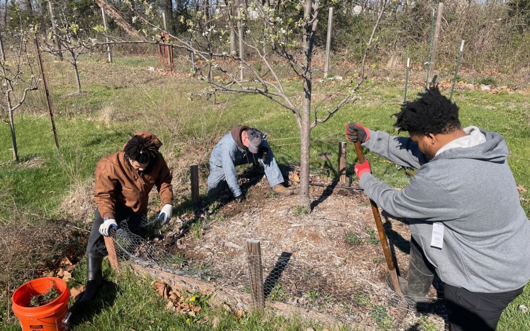 It’s More About You Than Your Plants – Spring Gardening Tips