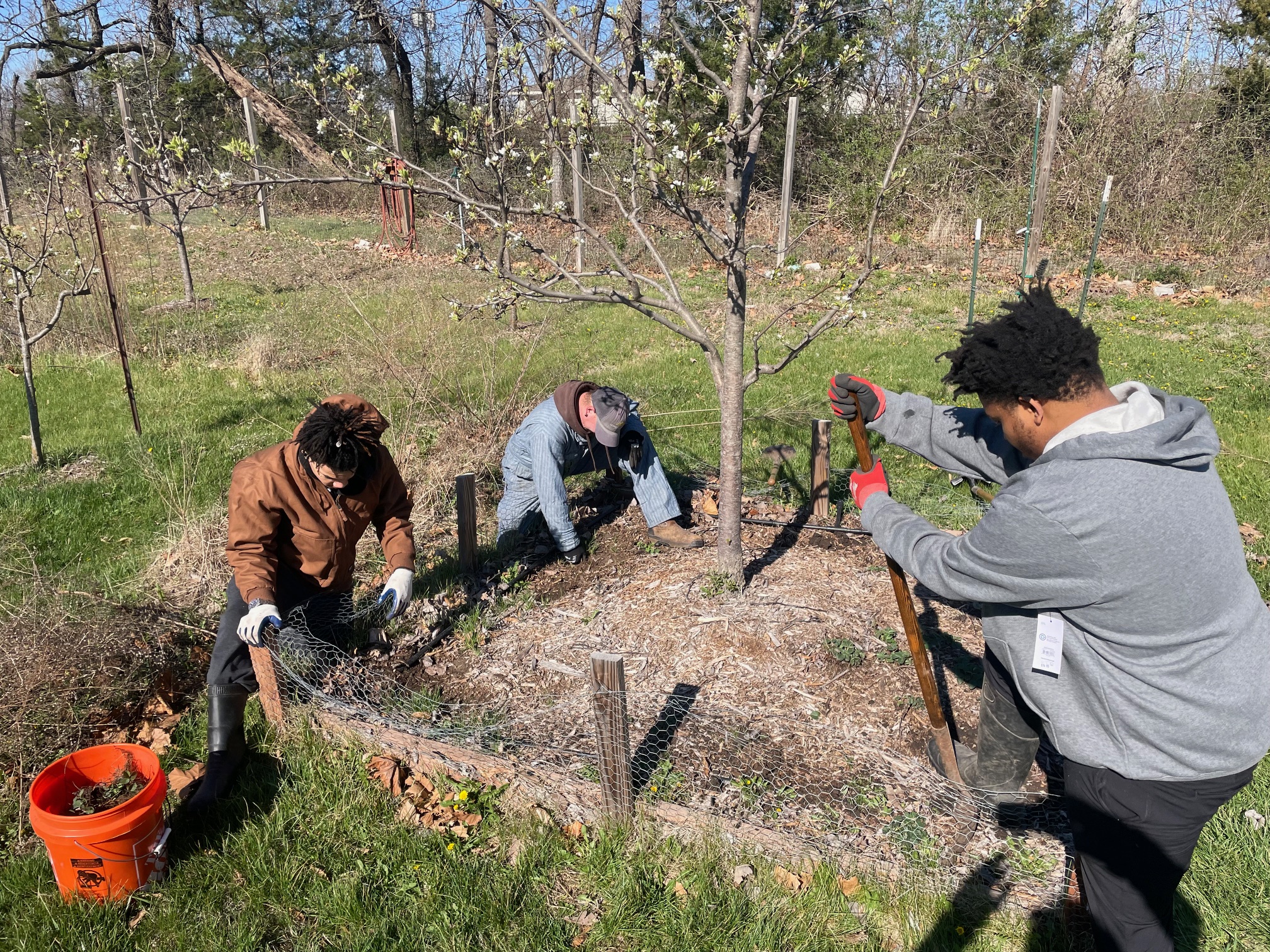 It’s More About You Than Your Plants – Spring Gardening Tips